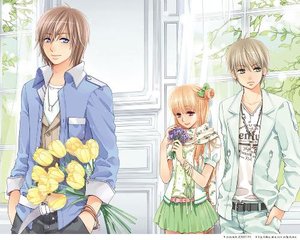 人人影视在线观看免费观看高清版